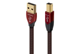 AudioQuest Cinnamon USB-A to USB-B High-Definition Audio Cable
