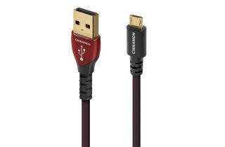 AudioQuest Cinnamon USB-A to Micro USB-B 2.0 High-Definition Audio Cable - 0.75m