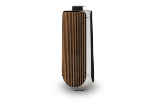 Bang & Olufsen Beolab 50 - Natural & Oak