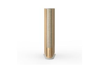 Bang & Olufsen Beosound Emerge - Gold Tone