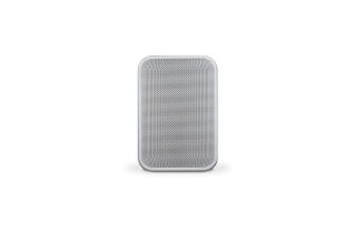 Bluesound PULSE FLEX 2i Portable Wireless Multi-Room Music Streaming Speaker - White