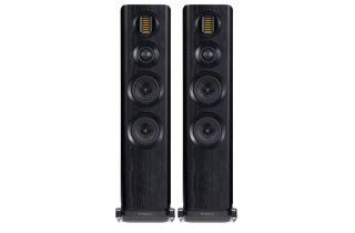 Wharfedale EVO4.3 Floorstanding Speakers