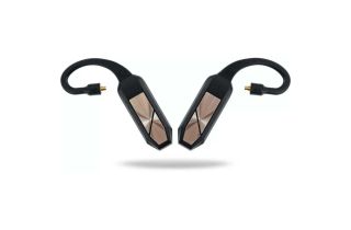 iFi Audio GO pod
