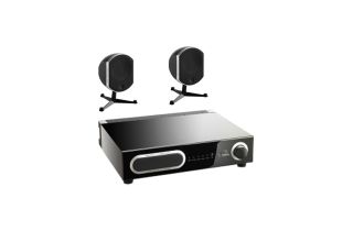 Manufacturer Refurbished - Focal Little Bird Pack 2.1 - Black