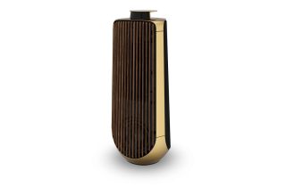 Bang & Olufsen Beolab 50 - Brass Tone