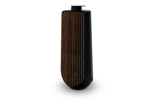 Bang & Olufsen Beolab 50 - Piano Black
