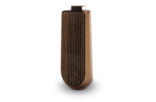 Bang & Olufsen Beolab 50 - Bronze Tone & Smoked Oak 