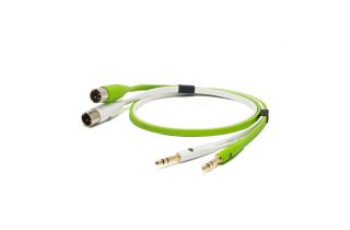 Neo d+ Class B TXM (1/4TRS to XLR male) Cable