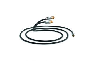 QED Performance J2P Graphite Cable