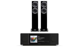 Arcam Radia SA45 Streaming Amplifier with Fyne Audio F501SP Floorstanding Speakers