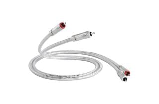 QED Signature Audio 40 - 1 Metre