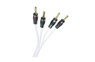QED Silver Anniversary XT Bi Wire Speaker Cable