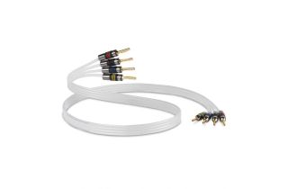 QED Silver Anniversary XT Bi Wire Unterminated Speaker Cable (per metre)
