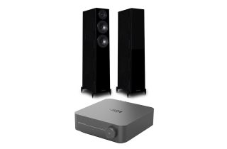 WiiM Amp Pro Streaming Amplifier with Wharfedale Diamond 12.3 Floorstanding Speakers