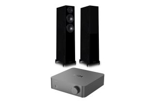 WiiM Vibelink Amp with Wharfedale Diamond 12.3 Floorstanding Speakers