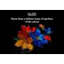 TCL 65T8C 65" 4K QLED Smart TV (2025)