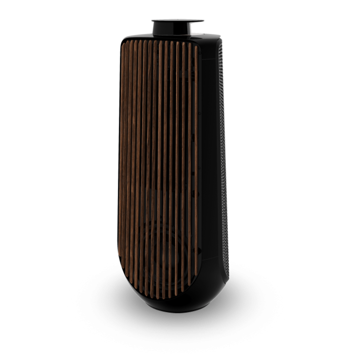 Bang & Olufsen Beolab 50 - Piano Black main product photo