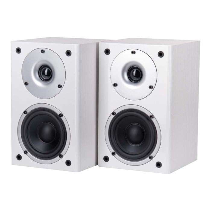Wilson Raptor Mini-White main product photo
