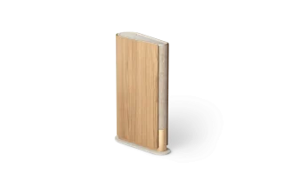 Bang & Olufsen Beosound Emerge