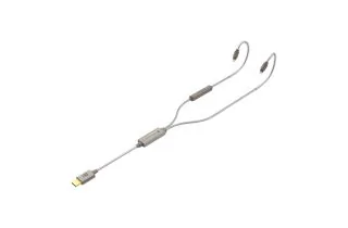 iFi Audio GO Cable