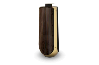 Bang & Olufsen Beolab 50 - Brass Tone