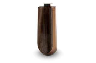 Bang & Olufsen Beolab 50 - Bronze Tone & Smoked Oak
