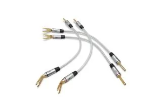 QED Performance Bi-Wire Links