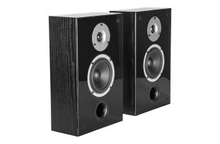Wilson Raptor On Wall speakers - Black