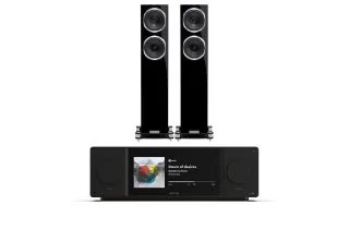 Arcam Radia SA45 Streaming Amplifier with Fyne Audio F501SP Floorstanding Speakers