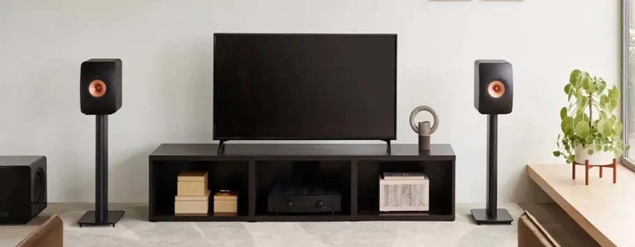 A modern living room setup featuring a flat-screen TV on a black stand, flanked by two speakers on stands. Books and d&eacute;cor are neatly arranged below, with a plant beside.