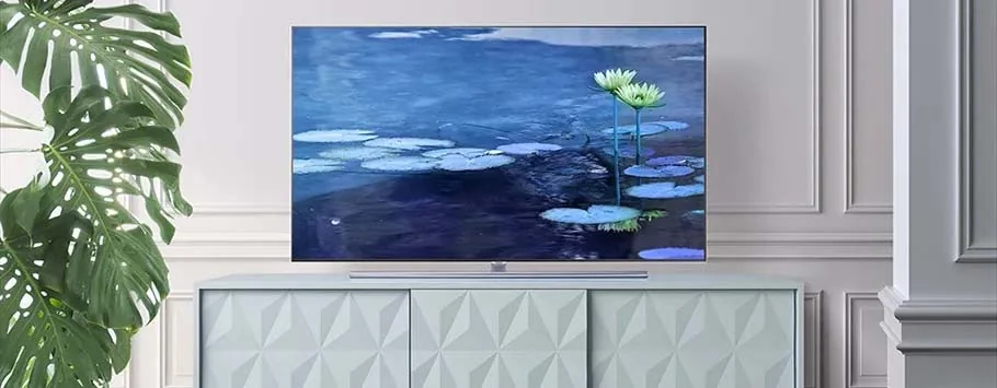 A sleek flat-screen TV on a geometric-patterned cabinet displays a serene pond scene with lily pads and a blooming flower. A large green plant is on the left.