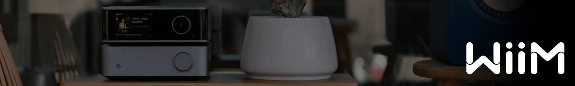 Modern audio equipment with a sleek display sits beside a minimalist white plant pot on a wooden table. The logo "WiiM" is visible in white text.