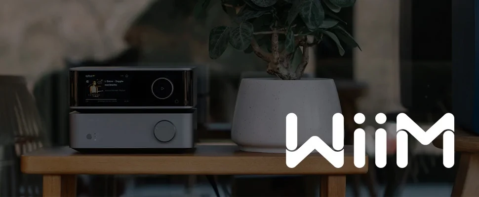 Modern audio equipment with a sleek display sits beside a minimalist white plant pot on a wooden table. The logo "WiiM" is visible in white text.