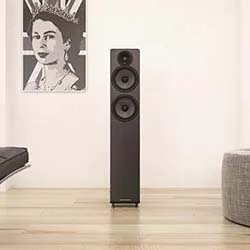 Sleek black speaker stands on light wood floor in a minimalist room. A monochrome portrait of a regal figure hangs on the wall, adding an artistic touch.