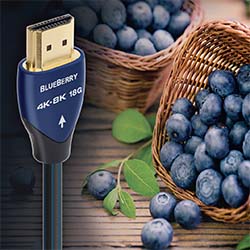 aq-blueberry