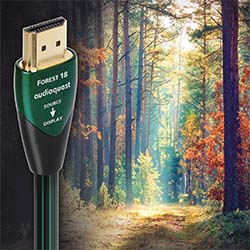 aq-forest