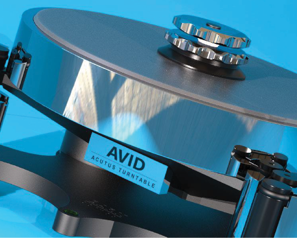 Avid_Acutus_reference-01
