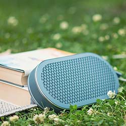 A portable blue speaker rests on a grassy lawn next to two closed books, suggesting a relaxed outdoor setting. Small white flowers dot the grass.