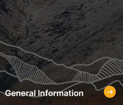 Abstract mountain-like patterns in dark brown shades with white lines overlay. "General Information" text in white and a yellow arrow icon.