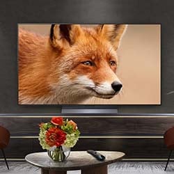 A large television displays a close-up of a red fox, set in a modern living room. A table with a colorful flower arrangement is in front, conveying a cozy, natural vibe.