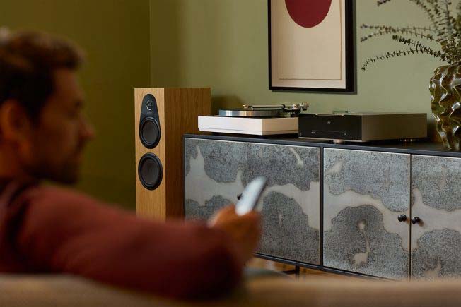 A person holds a remote in a cozy living room. Beside them are a speaker, a modern turntable, and an abstract art piece on the wall, creating a relaxed atmosphere.