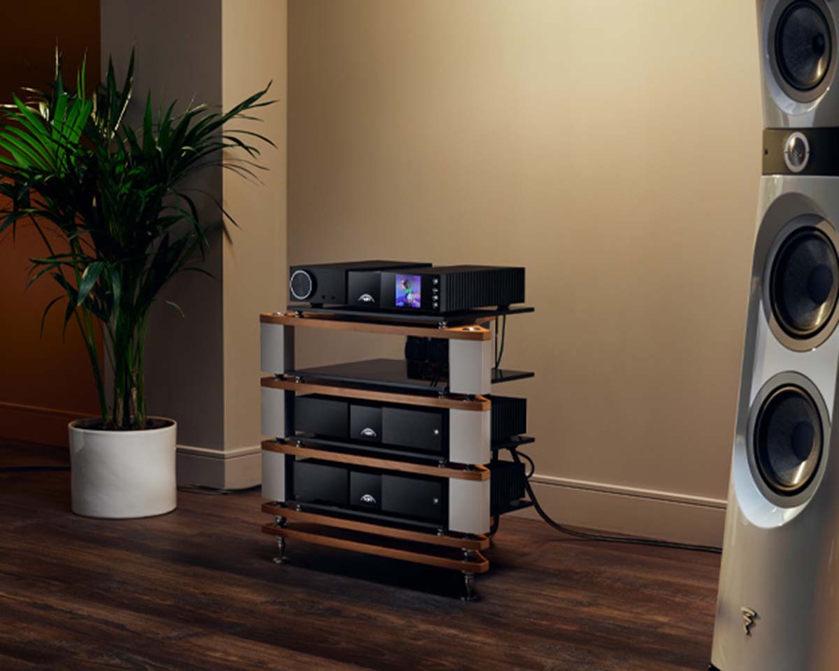 Modern audio setup with sleek black components on a wooden rack, flanked by a tall white speaker. A green potted plant adds a touch of nature.