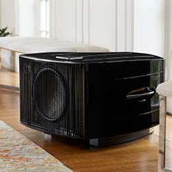 Luxurious black wooden dog crate in an elegant living room setting, placed on a polished wooden floor next to beige furniture, exuding a modern and sleek vibe.