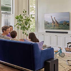 A family of four sits on a blue couch watching giraffes on a wall-mounted TV. A plant, toys, and large window create a cozy, relaxed living room vibe.