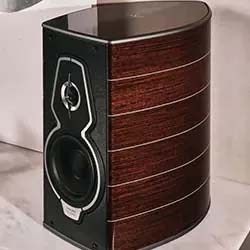 Rounded wood-panel speaker with sleek black front, silver accents, and visible woofer. Elegant design on a blurred background, conveying luxury and sophistication.