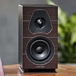 Dark wood speaker on a wooden table, featuring a sleek, modern design with visible tweeter and woofer. Blurred green plant in the background.
