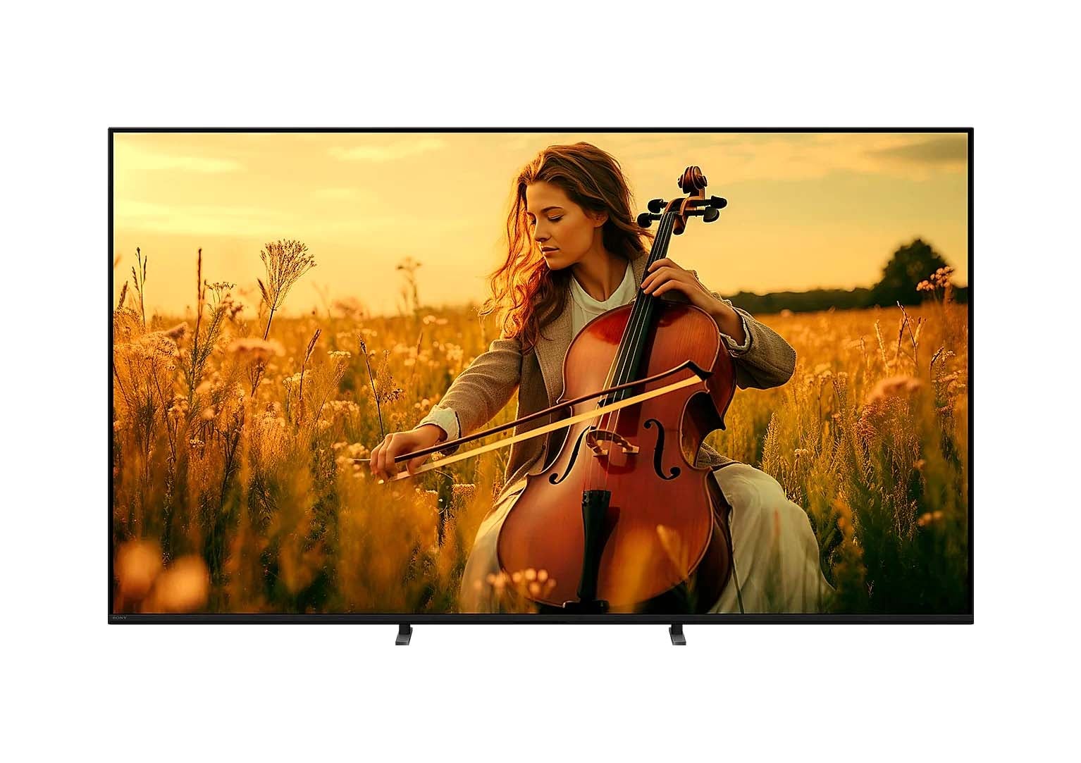 bravia_5