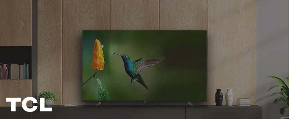 A sleek TCL TV displays a vibrant image of a hummingbird near a yellow flower, set on a light wood-paneled wall. The atmosphere is modern and elegant.