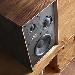 Vintage wooden speaker with two large and one small black drivers, placed on a wooden shelf. The setting suggests a retro, warm ambiance.