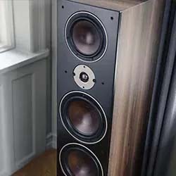 A tall, wooden floor-standing speaker with three large circular woofers and a central tweeter, positioned near a window, exuding a modern and refined aesthetic.